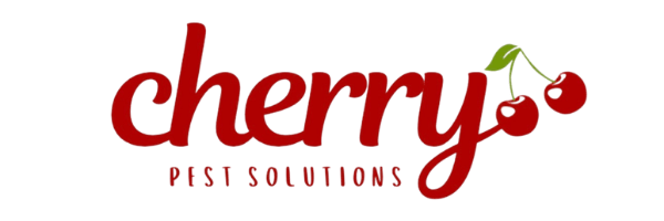 updated cherry